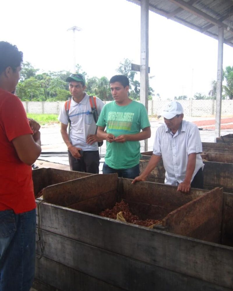 productores-fermentacion-gerente-coopa
